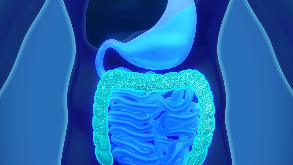 【CG映像・3DCG動画】乳製品業界様のプロダクトCG制作_森永乳業株式会社